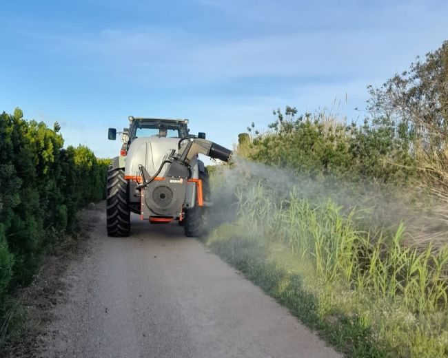 Insektenbekämpfung Cullera